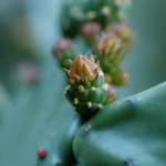 DSC_0003_-_iPhoto_Edited