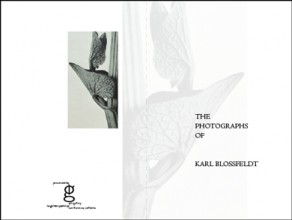 karl blossfeldt